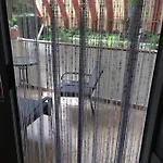 Apartament Paola-ivana Zadar