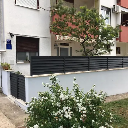 Paola-ivana * Zadar