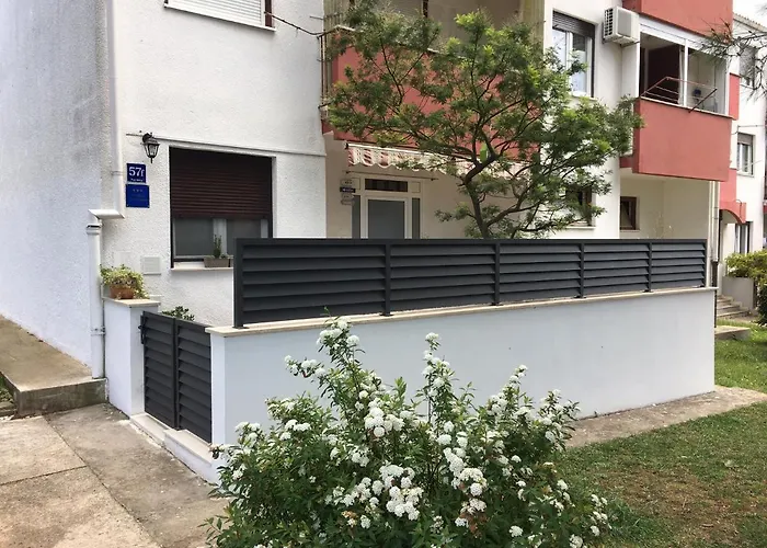 Paola-ivana * زادار